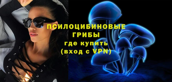 ECSTASY Богданович
