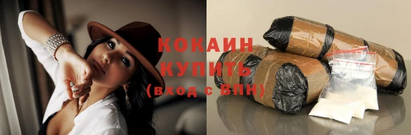 ECSTASY Богданович