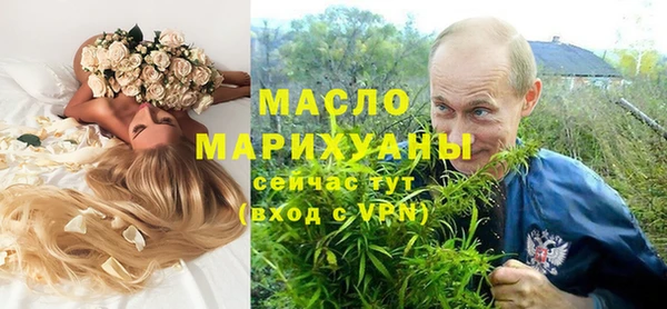 ECSTASY Богданович