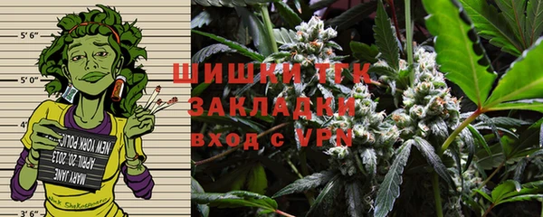 ECSTASY Богданович