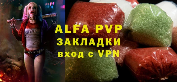 ECSTASY Богданович