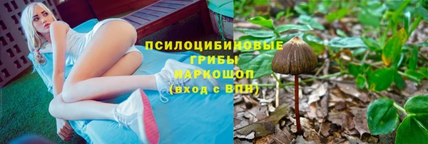 прущая мука Богородск