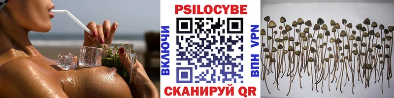 Псилоцибиновые грибы MAGIC MUSHROOMS  Ставрополь 